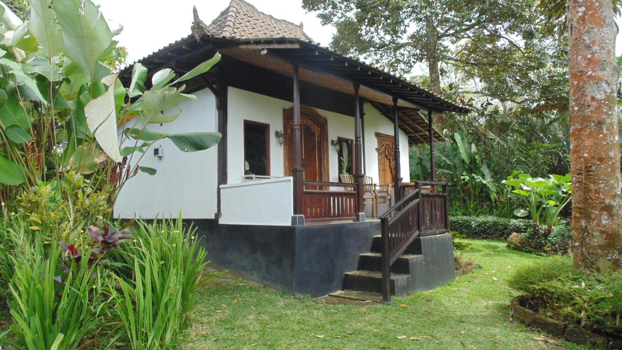 Bali Mountain Retreat Villa Selemadeg  Dış mekan fotoğraf