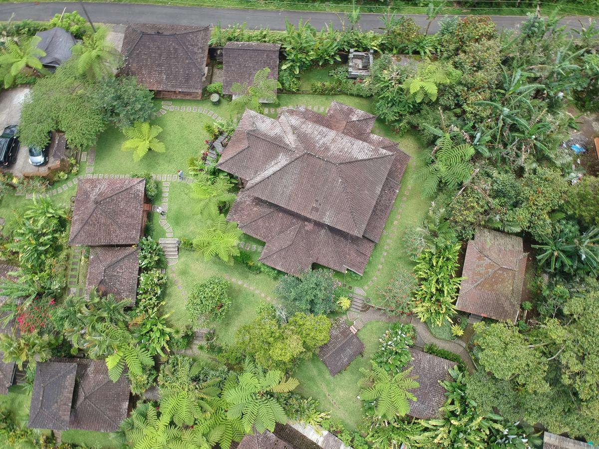 Bali Mountain Retreat Villa Selemadeg  Dış mekan fotoğraf