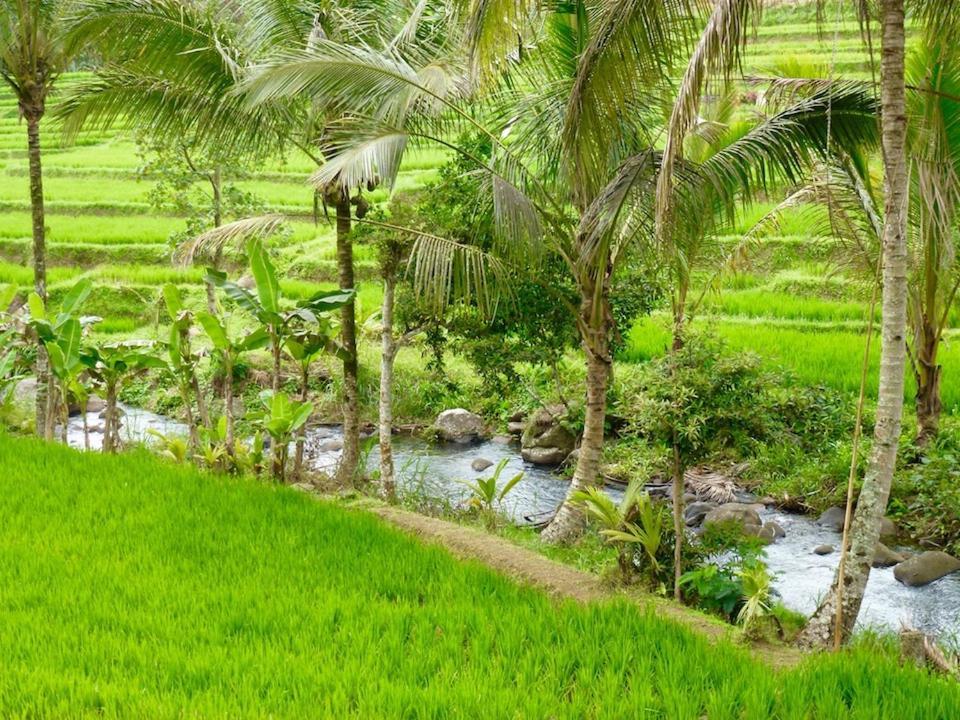 Bali Mountain Retreat Villa Selemadeg  Dış mekan fotoğraf