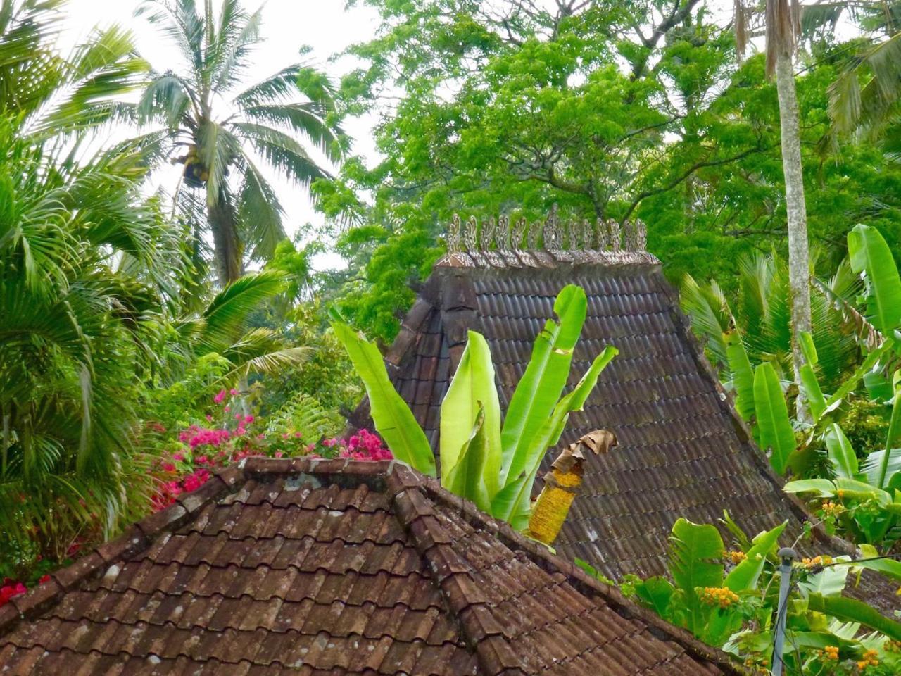 Bali Mountain Retreat Villa Selemadeg  Dış mekan fotoğraf