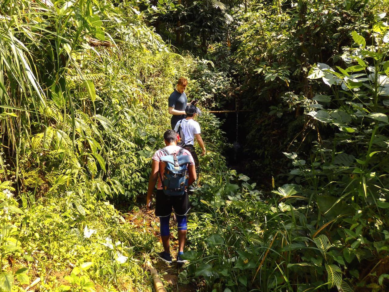Bali Mountain Retreat Villa Selemadeg  Dış mekan fotoğraf