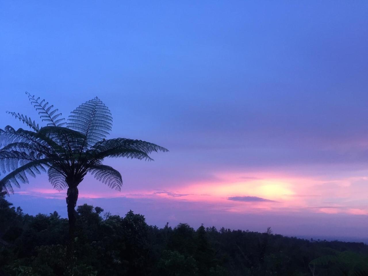 Bali Mountain Retreat Villa Selemadeg  Dış mekan fotoğraf