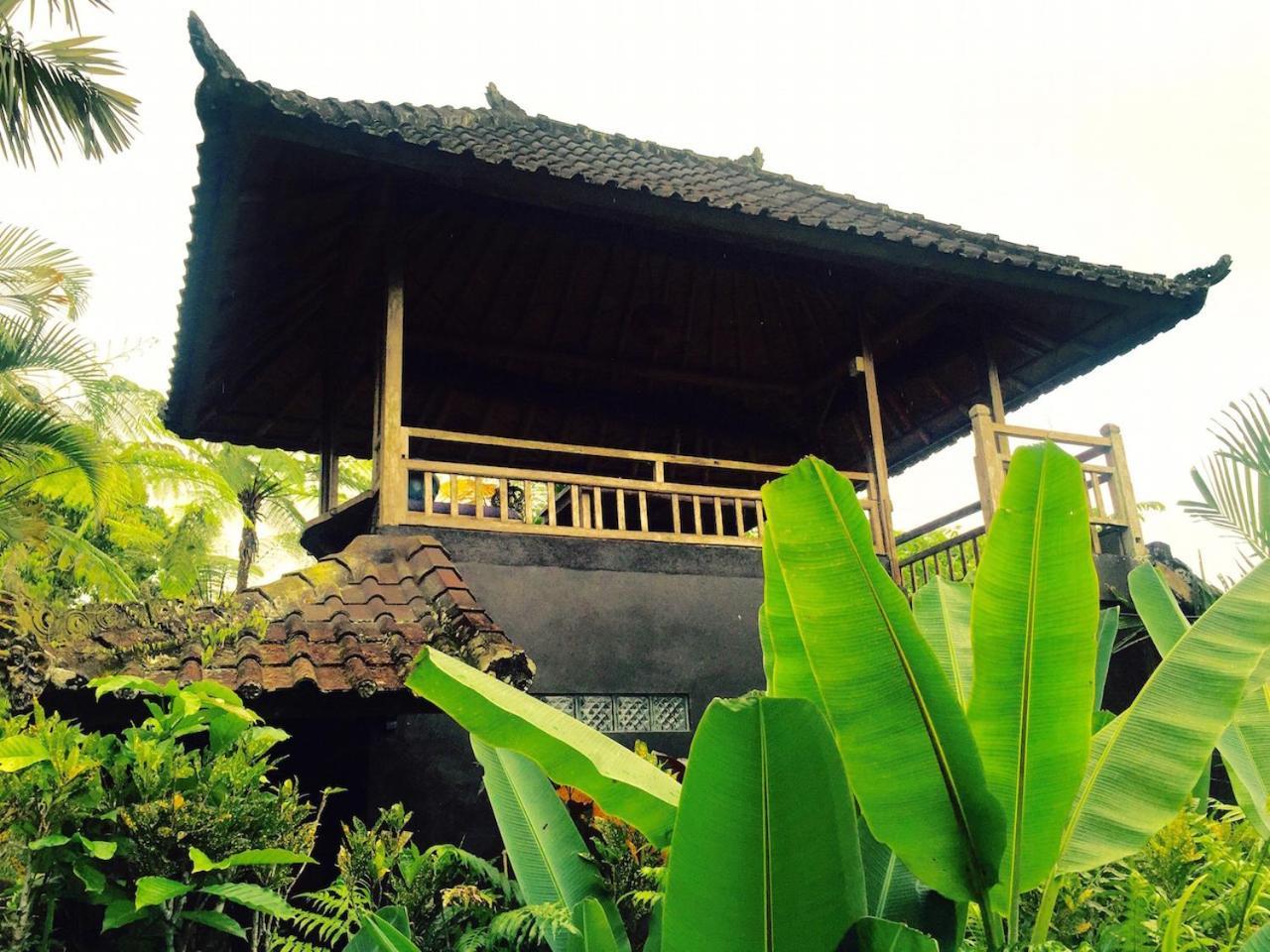 Bali Mountain Retreat Villa Selemadeg  Dış mekan fotoğraf